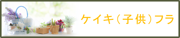 ケイキ（子供）フラ